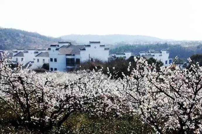次元喵